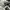 ADIDAS SUPERSTAR WHITE BLACK , ADIDAS SUPERSTAR WHITE , ADID photo 7