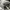 ADIDAS SUPERSTAR WHITE BLACK , ADIDAS SUPERSTAR WHITE , ADID photo 8