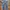 True religion jeans bootcut photo 1