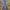 True religion jeans bootcut photo 2