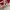 Adidas Sportswear Jersey Pria red photo 5