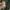 ZARA Casual Casual dress Wanita green photo 4