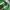 Diadora Vintage Y2K Polo shirt Pria green photo 4