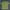 Diadora Vintage Y2K Polo Shirt Pria Green