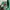 Diadora Vintage Y2K Polo shirt Pria green photo 3