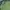 Diadora Vintage Y2K Polo shirt Pria green photo 2