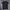 Hollister Sportswear Polo shirt Pria black photo 1