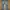 Cardinal CJ73 Baggy jeans blue photo 2