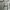 Patagonia Luxury Casual Sweater Pria gray photo 2