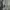 Patagonia Luxury Casual Sweater Pria gray photo 6