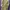 Zara Casual Bodycon Dress Wanita Yellow