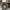 trousers pants vintage culture unisex photo 2