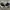 Vans Authentic Classic BlackWhite photo 3