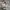 Dior Luxury Minimalist Handbag Wanita white photo 8