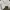 Vintage Y2K Crop top Wanita white photo 4
