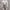 Vintage Y2K Crop top Wanita white photo 3