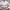 Vintage Y2K Crop top Wanita white photo 2