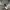 VANS Streetwear Skater Hoody Pria gray photo 6