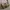 Coach Vintage Y2K Shoulder bag Wanita brown photo 5