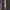 vans decon style36 full beige photo 4