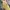 LONG PANTS CARHAT RELAXED FIT photo 3