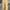 LONG PANTS CARHAT RELAXED FIT photo 2