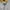 Vintage Bugle boy USA photo 3