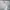 Hollister Minimalist Casual Hoody Pria white photo 3