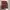 4 Daster photo 3
