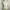 White Ribbon Cloud Basic Tanktop  photo 2