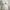 Eblin Lingerie Romantic White Lace Lingerie Babydoll Sheer photo 3