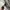 Casual Fur coat Pria white photo 7