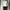 Casual Fur coat Pria white photo 2