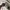 Casual Fur coat Pria white photo 8
