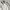 Casual Fur coat Pria white photo 4