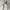Casual Fur coat Pria white photo 6
