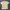 Kaos adidas GRAPHIC PLANET TEE Original photo 2