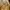 Outer Bohemian  photo 2