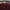 Polo Shirt Lacoste Basic Maroon photo 2