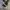 Converse Chuck Taylor 70s High Black 169336C ( Size 42 ) photo 1