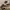 Trackpanst Kappa Taped photo 4