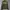 JAKET BOMBER ADVISORY PATCH GREEN ARMY GOLDEN SIZE photo 1