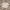Crop.    photo 1