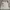Blouse Wanita Broken White Brand No Minus photo 1