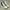 ADIDAS FORUM EXHIBIT MID 'WHITE BLACK' photo 1