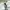 ADIDAS FORUM EXHIBIT MID 'WHITE BLACK' photo 6
