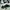 ADIDAS FORUM EXHIBIT MID 'WHITE BLACK' photo 4