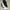 ADIDAS FORUM EXHIBIT MID 'WHITE BLACK' photo 2