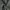 Minimalist Formal pants Pria green photo 5