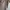 Kaftan Plisket photo 3